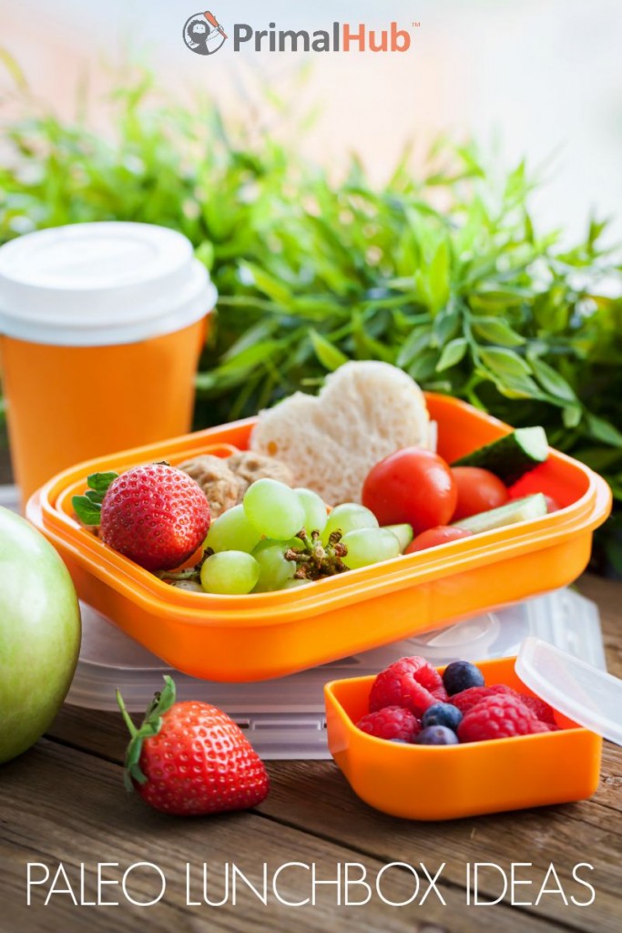 Paleo Lunchbox Ideas Primal Hub